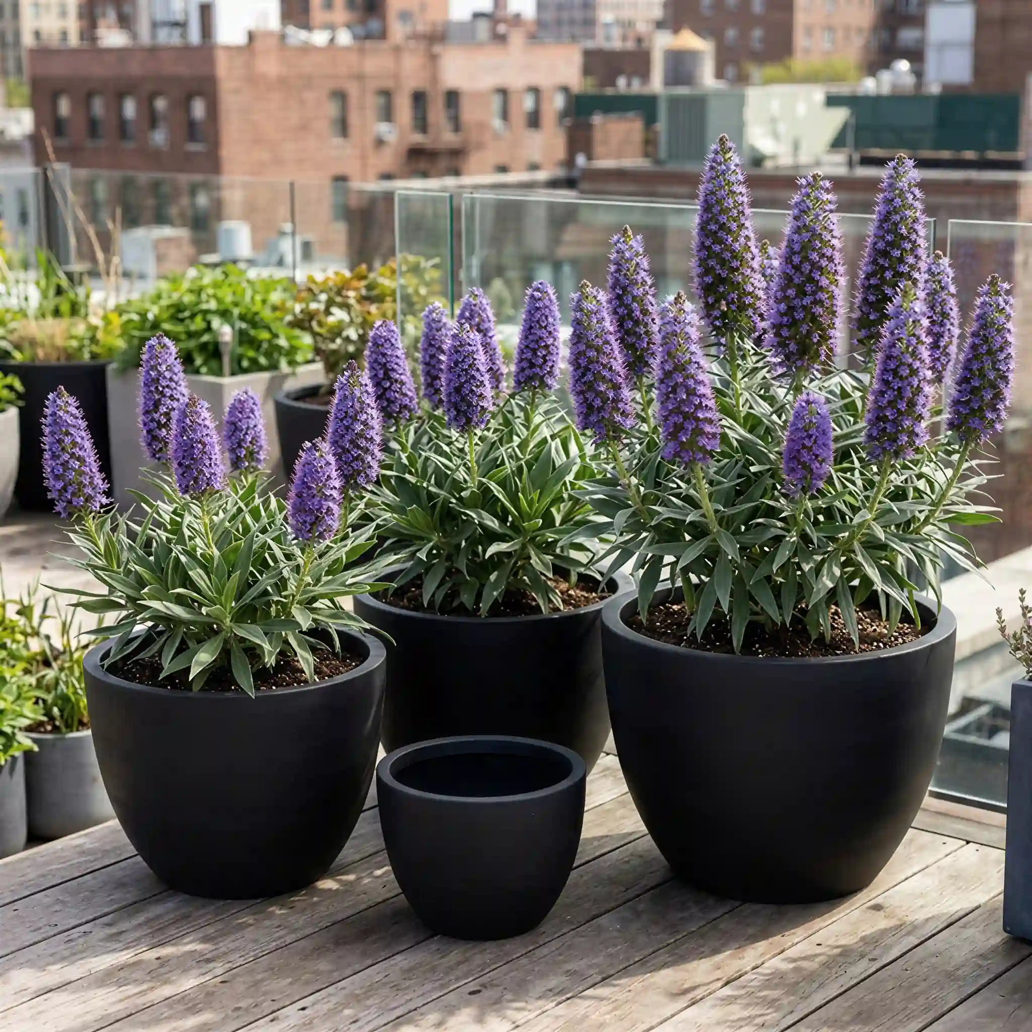 Black RC-1004 rounded GFRC planters grouped on a rooftop deck